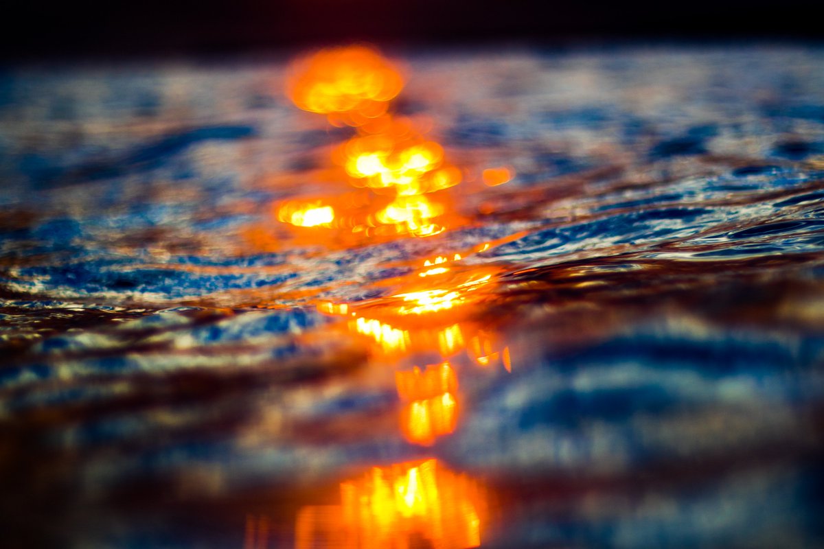 Stevo_mur's tweet photo. @cyhnft Come and check my photography collection.
https://t.co/nQBDrJSrSs https://t.co/Xb8KI9fkdW