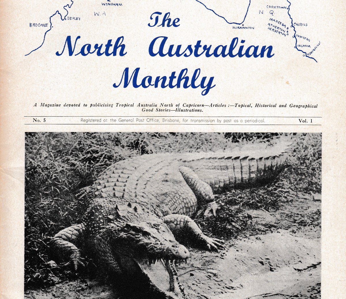 Trisha Fielding tweet media