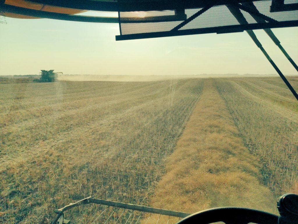 ranfurlyredneck's tweet photo. Mother Deere & I crushing some #blackGold this fine Sept evening. Feels good to get some dry grain to fill the bins after 5 retarded wet yrs & a drought #harvest22 #westcdnag #BackInTheBlack #farm365 https://t.co/JzNxJwM2Tp