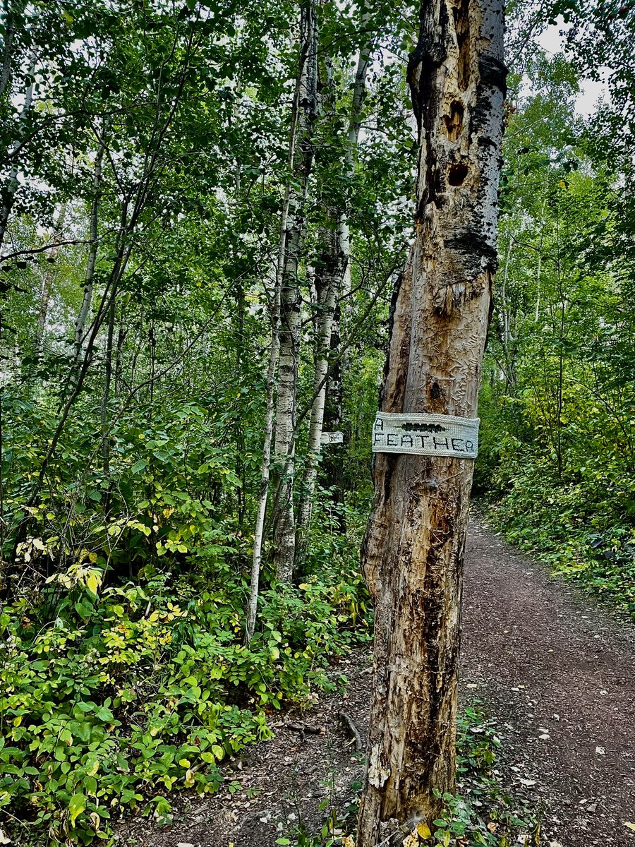 merissafb1's tweet photo. A busy busy week! Thursday after school run was 👌! #happyrunner #feelinglikefall  #yeg #runyeg https://t.co/nBQ46XABIZ