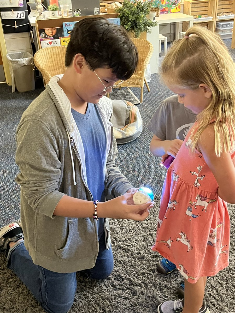 Sandy Gemmel tweet media