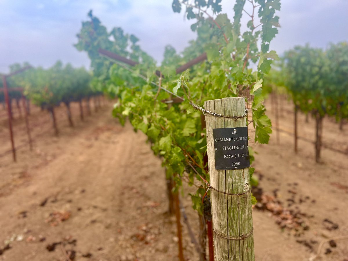 James Wogan LCSW tweet media