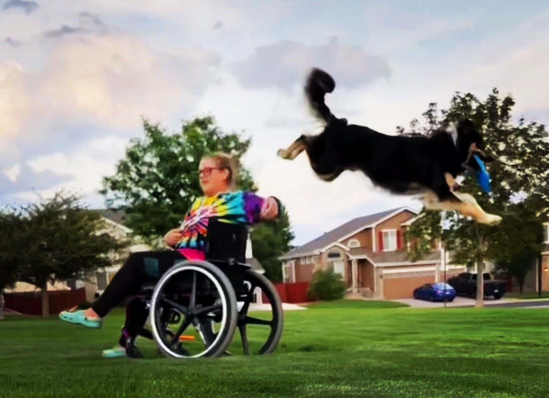 TeamFGBC's tweet image. We fly high even on wheels. @HeroDisc #disabled #wheelchair #DisabilityTwitter #parathlete #dog #disc #frisbee