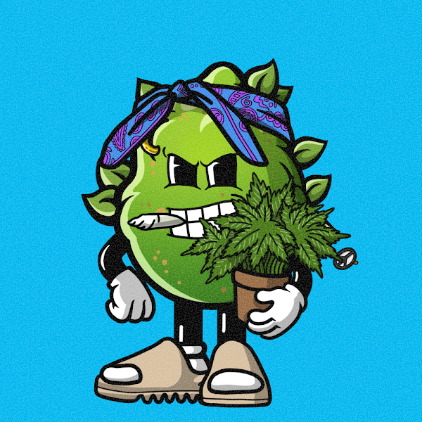 Weedly & Buddly 💚 Mint is live tweet media