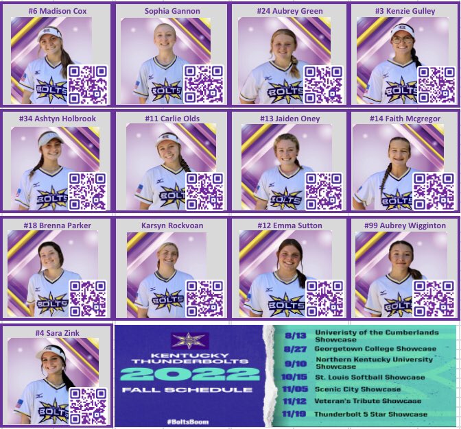 Louisville Lady Sluggers Holbrook 2025 tweet media