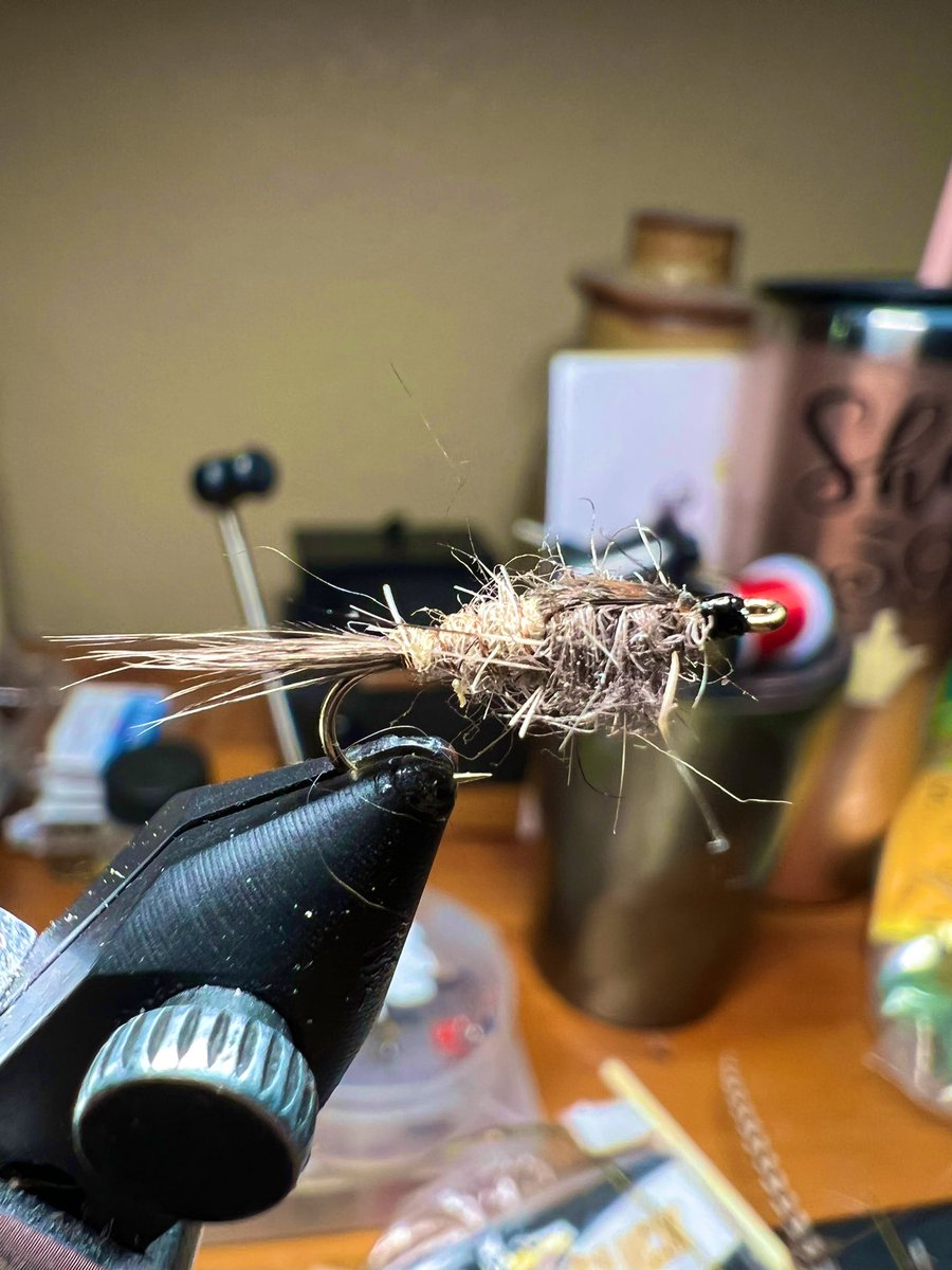 Shouldbgolfng's tweet photo. This one looks better!! 😂🤣 #flytying #flyfishing #troutfishing #fish #fishing #trout #wildtrout #troutfly #nymph #coloradotrout #coloradofishing #coloradoangler #catchandrelease https://t.co/dWGgurdgn8
