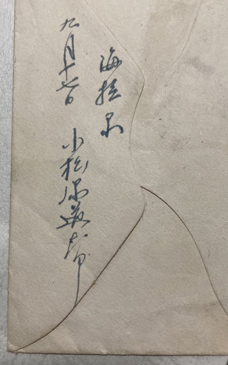 鳴神堂 9/25浜松町館Vショー出店予定 Ph.D. on Twitter