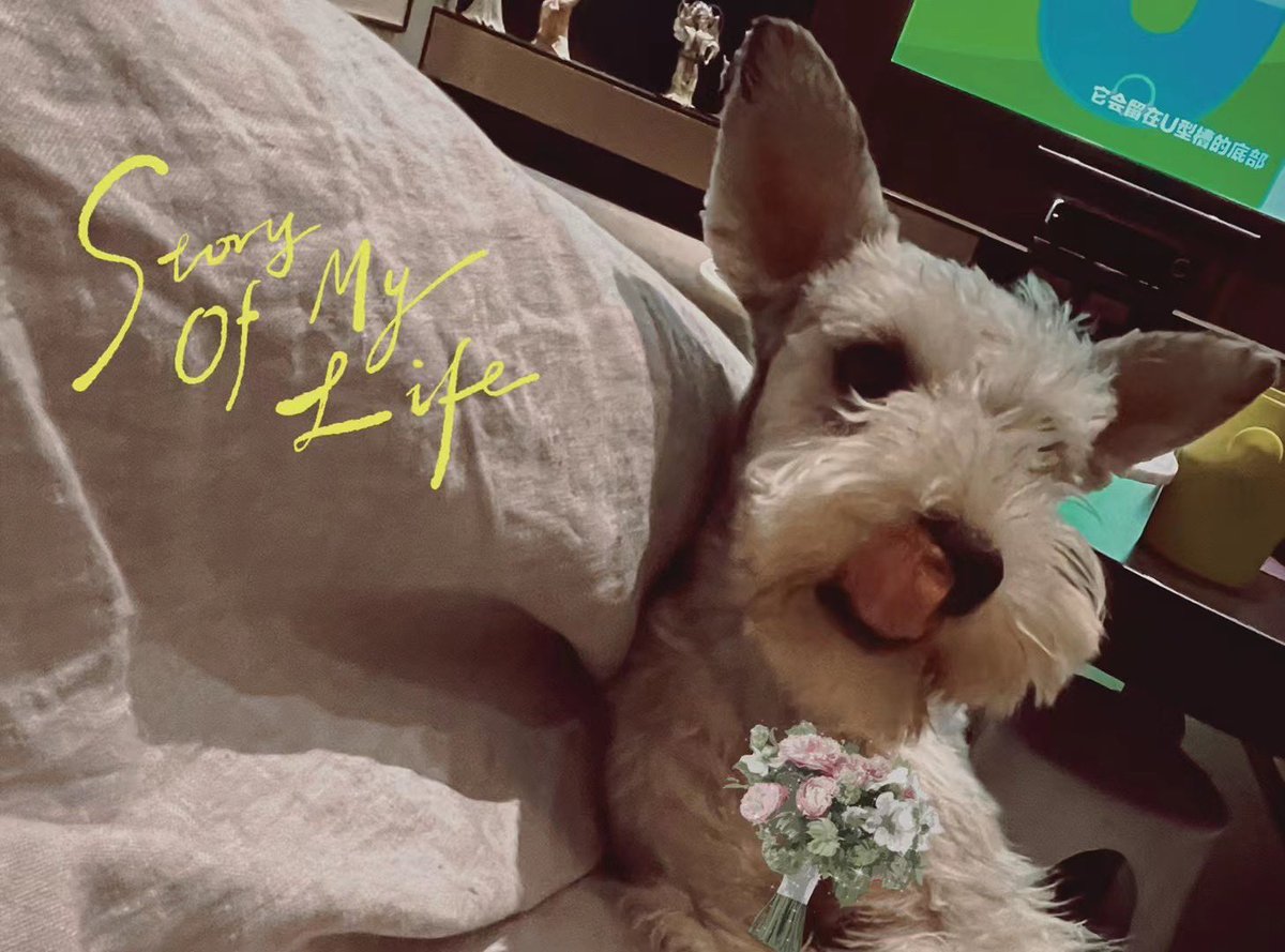 Sunny liu (@rsdr1bv6s) on Twitter photo 