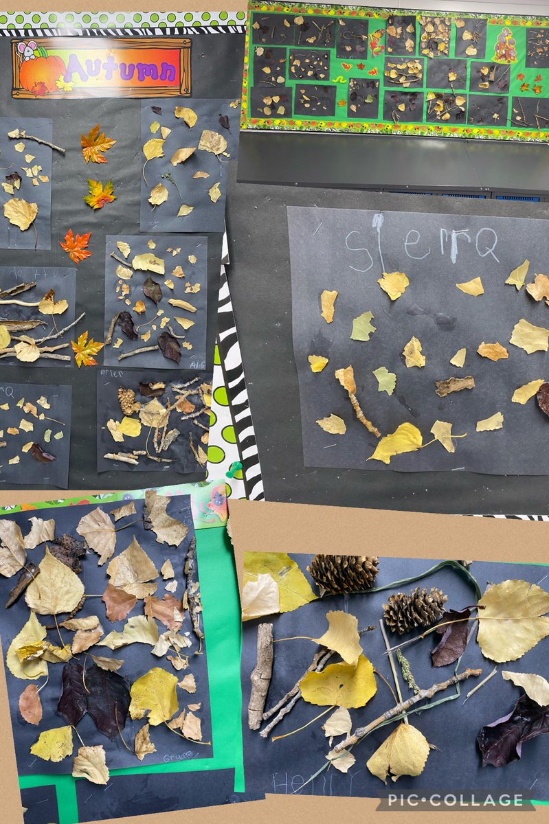 Ss are so excited to share their Fall collages. They are intrigued with NATURE!🍁