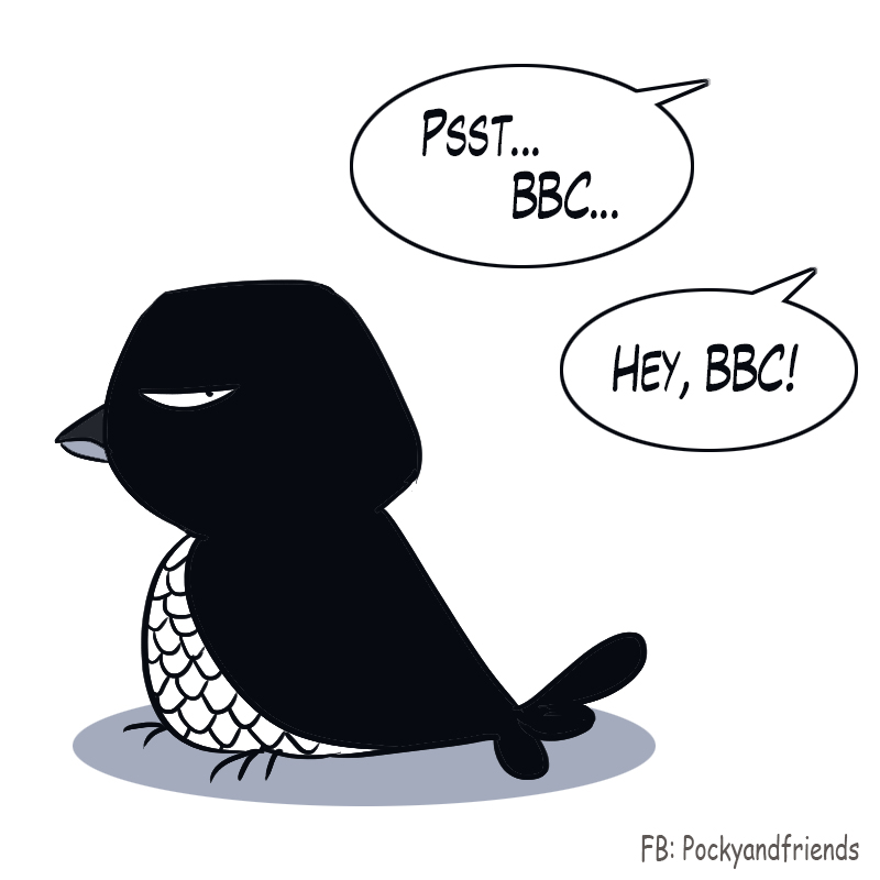 ArtOfEmm's tweet photo. I see some patrons still hang around.
I'm touched. Well, if you dont mind my poor taste in adult jokes like this, maybe I can still draw you #birdcomics sometimes. XD
#finchbird #birdartist https://t.co/MKN6LFqj2h