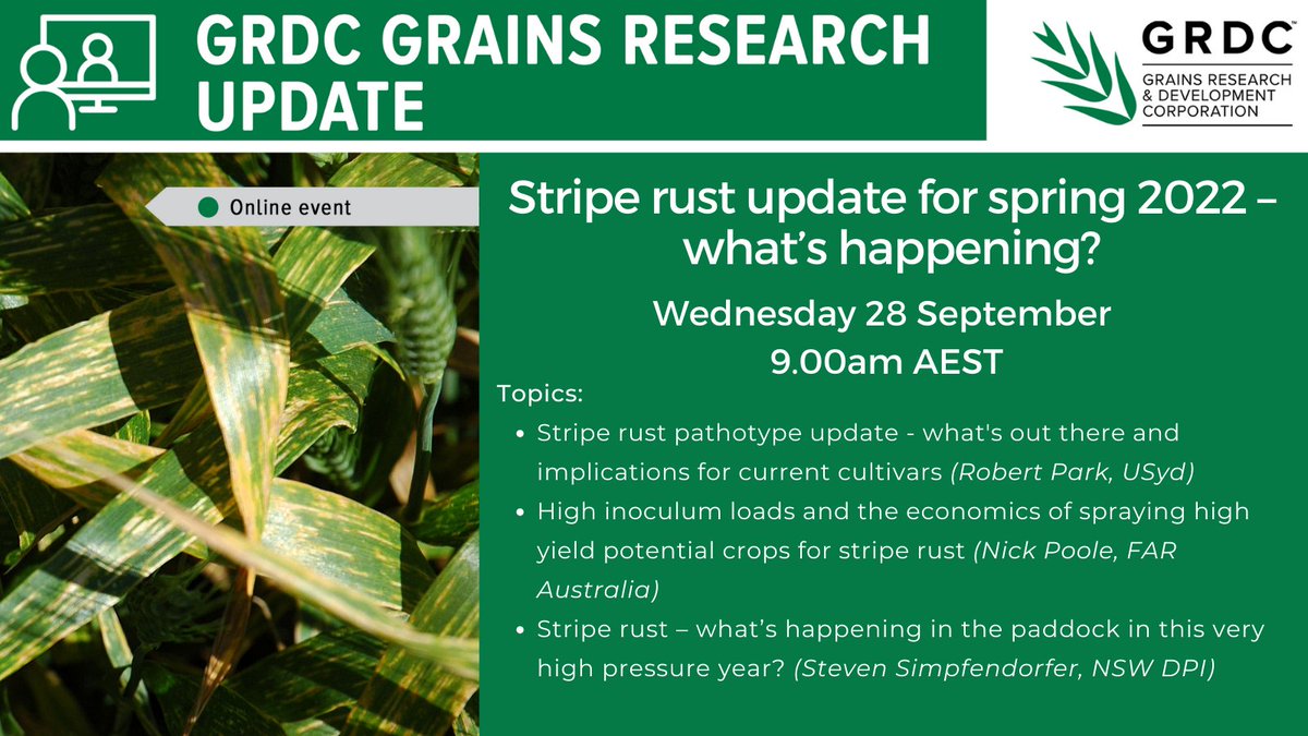 To say that it's a big stripe rust year would be an understatement. Join us online to hear from Robert Park <a href="/PbiCobbitty/">PBI Cobbitty, University of Sydney</a> <a href="/s_simpfendorfer/">Steven Simpfendorfer</a> @NSWDPI_AGRONOMY &amp; <a href="/Pooley_Nick_FAR/">Nick Poole</a> <a href="/far_australia/">FAR Australia</a> on their observations &amp; science on what's in the paddock. Register: bit.ly/3qHZA45