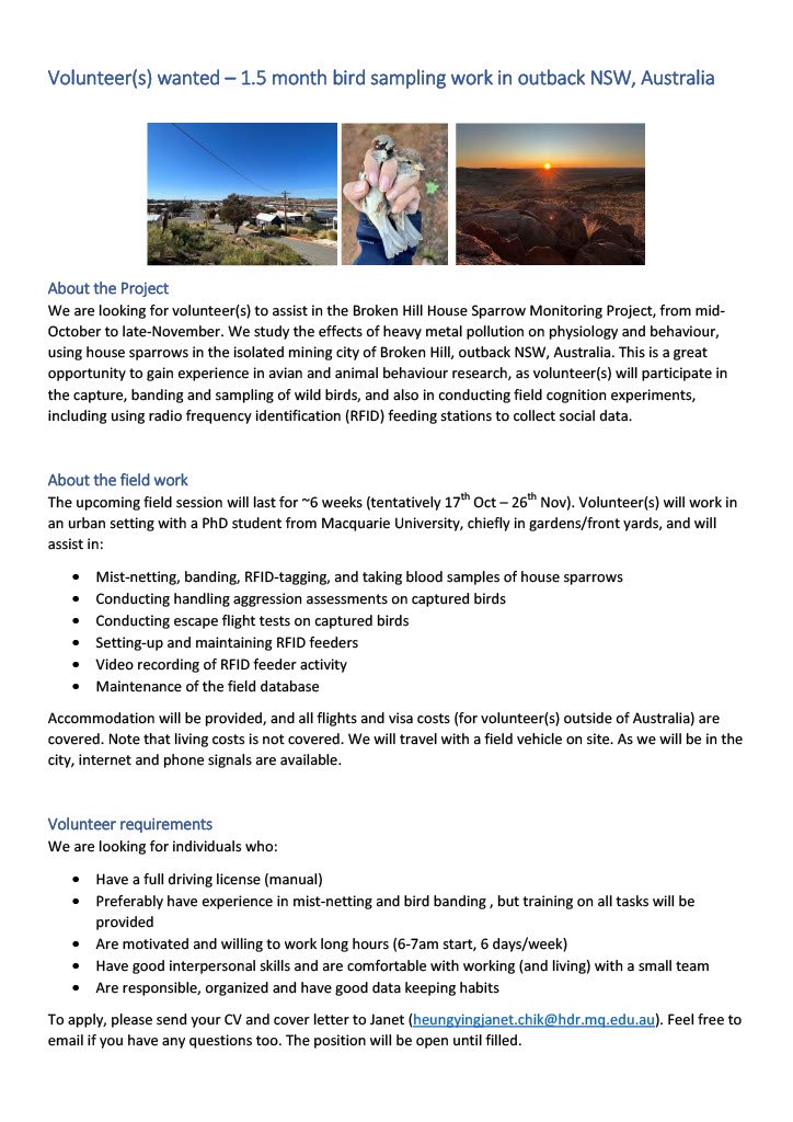 JanetHYChik's tweet photo. 🚨We are looking for volunteer(s) to join the Broken Hill Sparrow Project Oct-Nov!🚨Come learn about birds, animal behaviour research, and experience the Australian outback! International applicants welcome:)
#ornithology #volunteer https://t.co/u6WFraSDB2