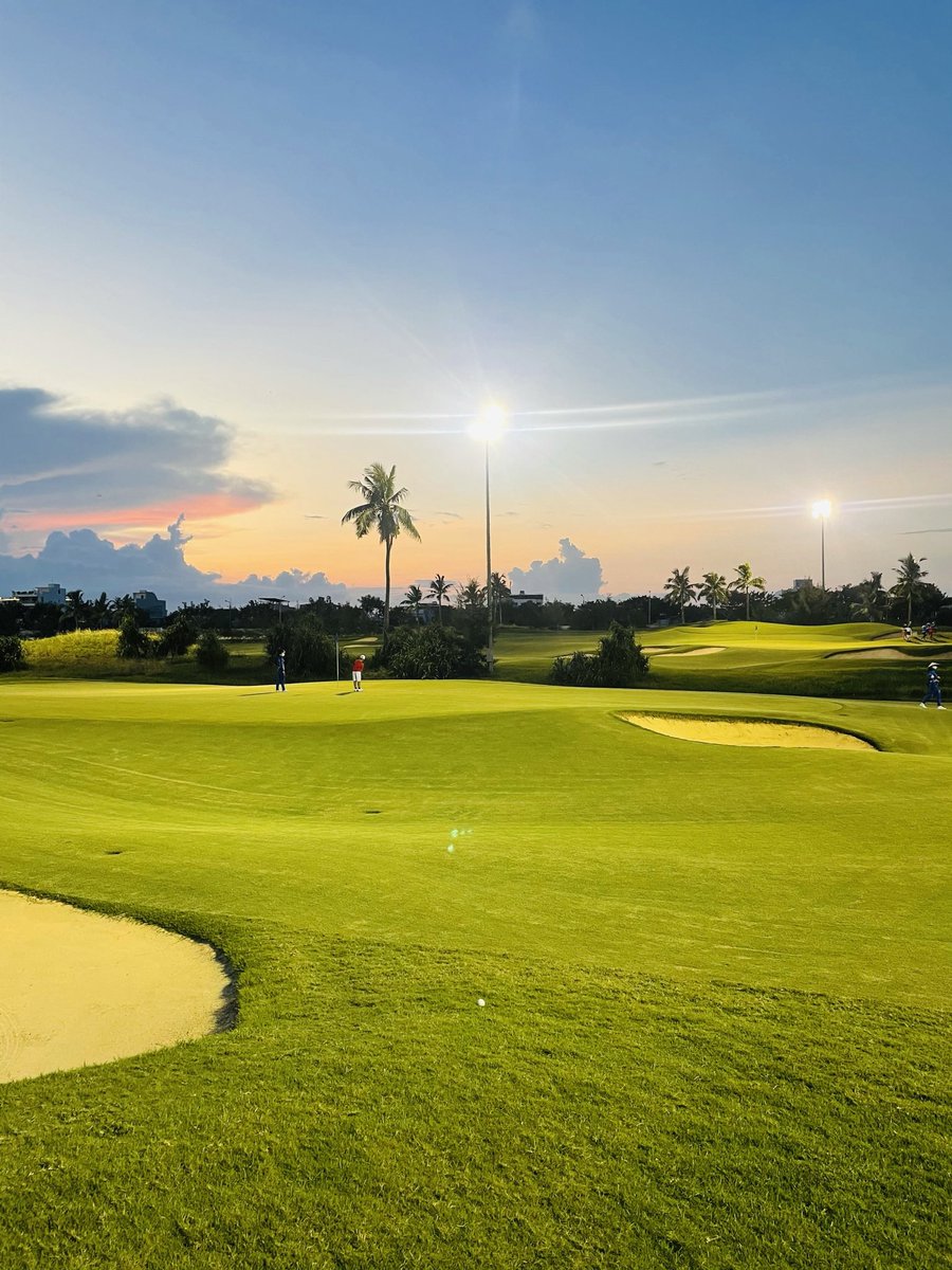 Lyn Dang tweet media