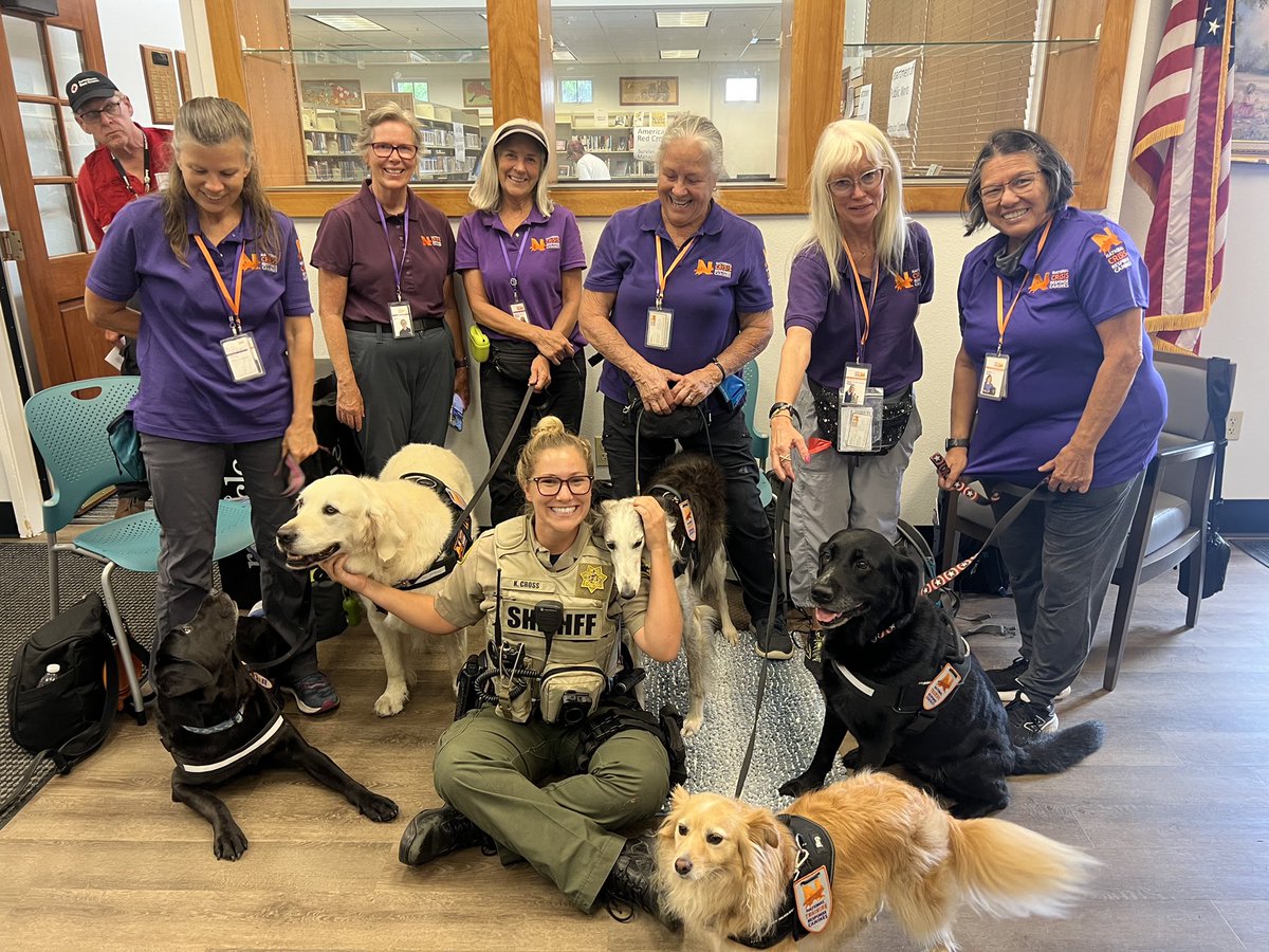 SDSheriff's tweet photo. It’s never a “ruff” day when you have this many good boys around! 🐕
@SDSheriff Deputies with the Homeless Assistance Resource Team (HART) helped with outreach for people displaced by the #Border32Fire in Potrero. These volunteers &amp; dogs give comfort &amp; support to those in need. https://t.co/9DvhwJPYrI