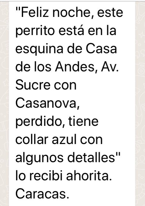 PerroUsuario's tweet photo. Puede estar #EXTRAVIADO RT @marpipeas:  favor RT para que consiga a su familia . https://t.co/8lmNPY9uv3