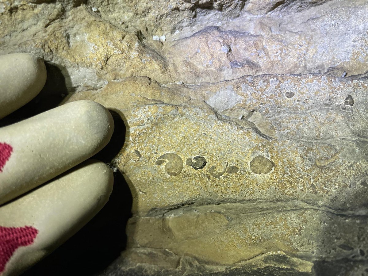 Karst Waters Institute tweet media