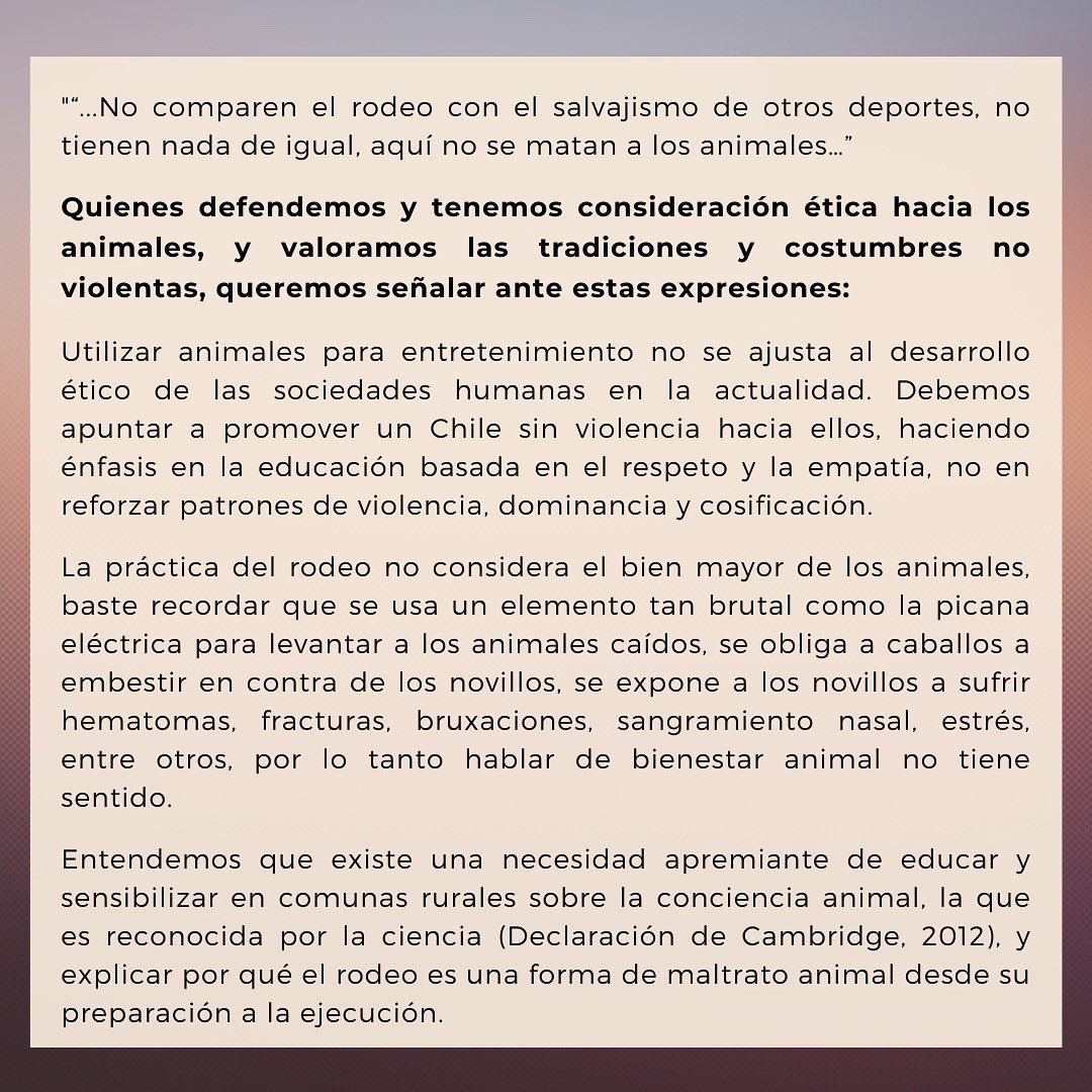 Celeste Jimenez Abogada Animalista tweet media