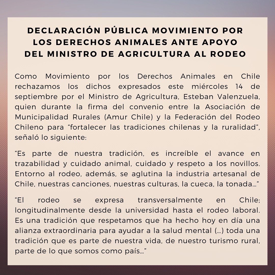Celeste Jimenez Abogada Animalista tweet media