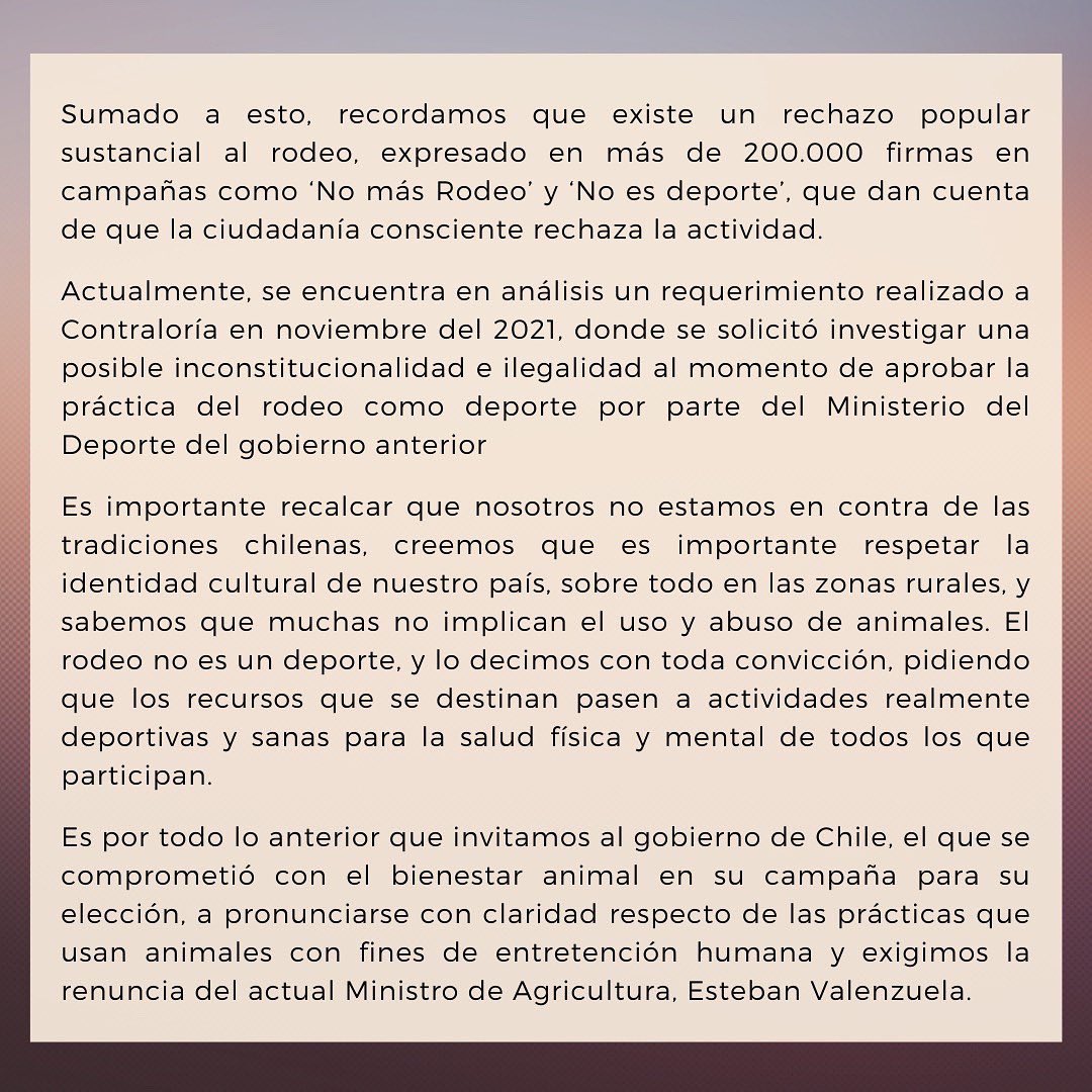 Celeste Jimenez Abogada Animalista tweet media