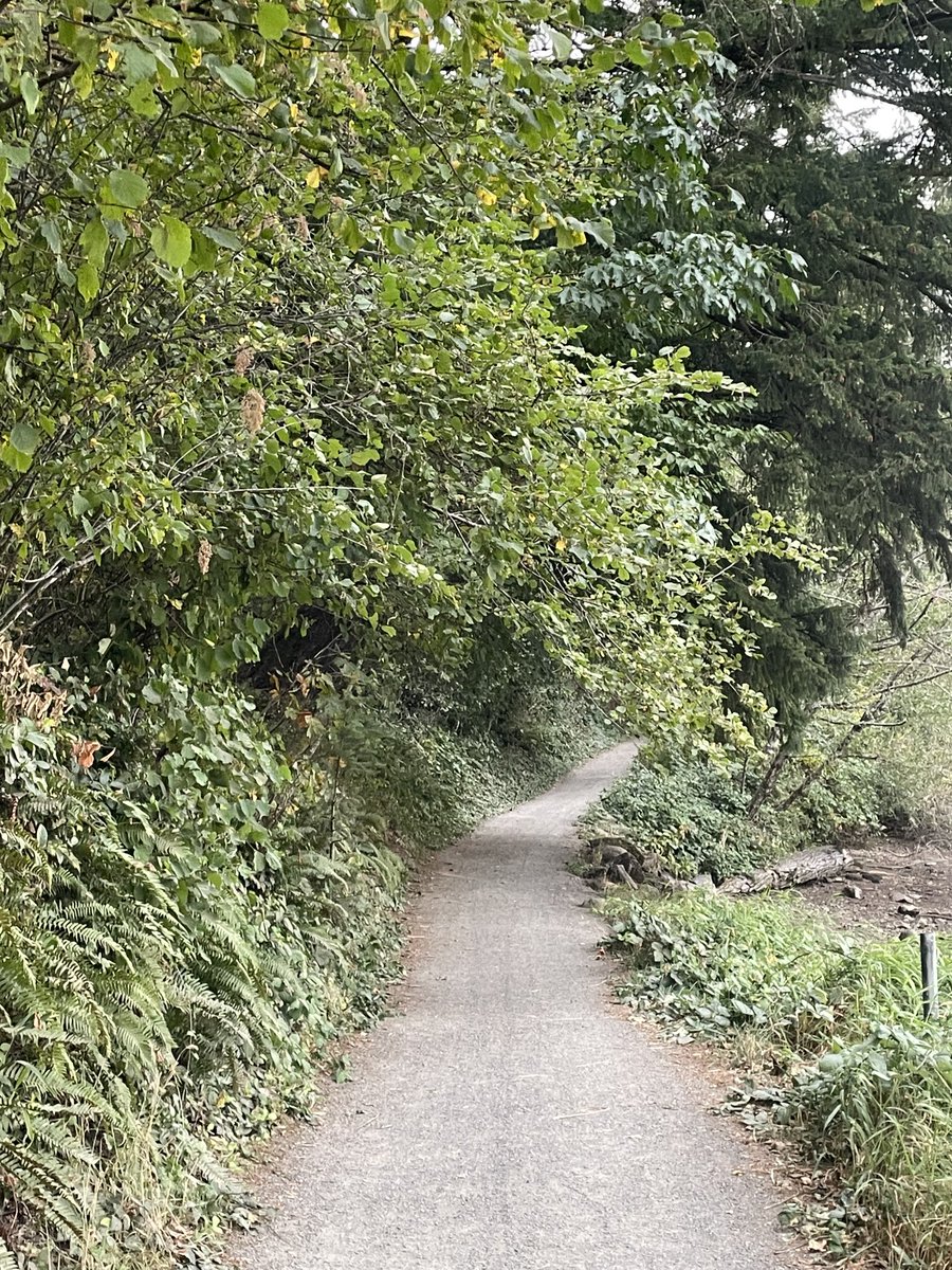 BarrerasBrown's tweet photo. Nothing like a mindful stroll on Mother Earth 🌍 to give you perspective 🙏🏾♥️#beautiful #peaceful #LettingGoOfEgo #Whole #joyful #Work2Live https://t.co/CC5rnwbpBC