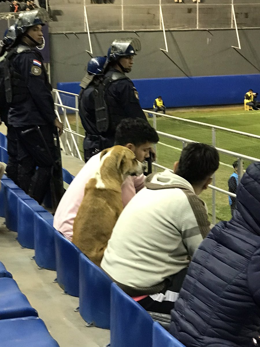 nocontextfooty's tweet photo. https://t.co/fGcTUbJPaP