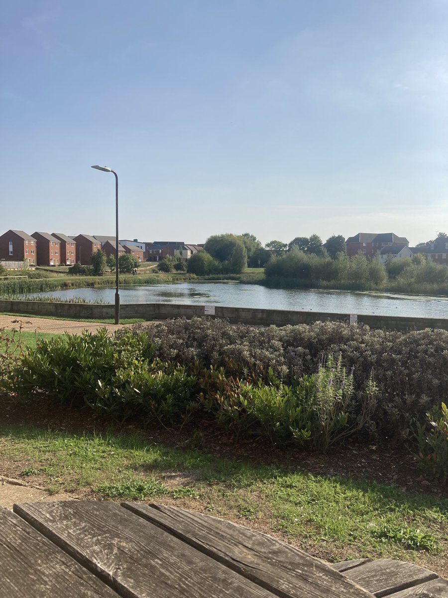 Rhys The Hedgecat tweet media