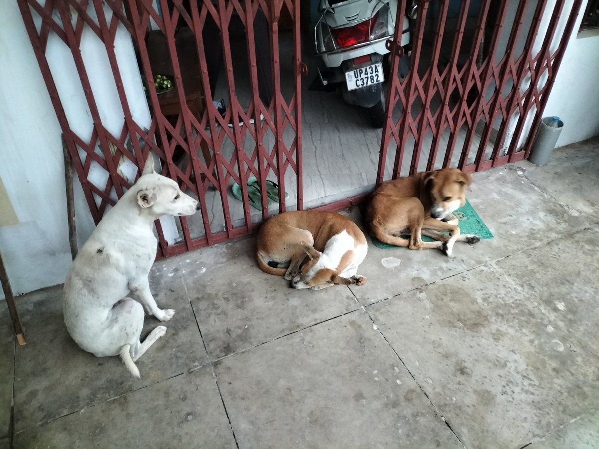 samvaish93's tweet photo. Take shelter as #depression at its beast mode

#AdityaKumar80  #KachwalaAbizer #kotian_viraj  #weatherindia |#LiveWxIndia #CycloneAnalyser #tripdev #Mpalawat #Aashish77257678 #RoarWeather #Selwyyyyn #lovelyweather_   #shubhamtorres09 #OdishaWeather7 https://t.co/VXmW0W5sns