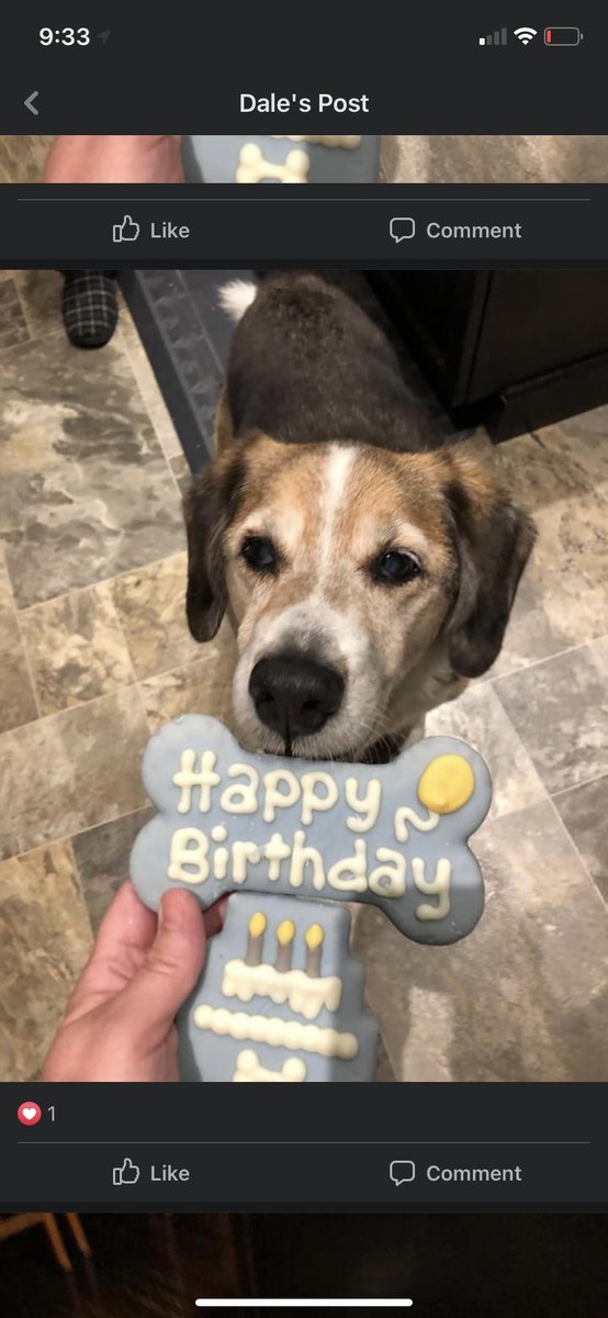 ericaconwayy's tweet photo. wish him happy 14th bday https://t.co/ofuS5pUN1p