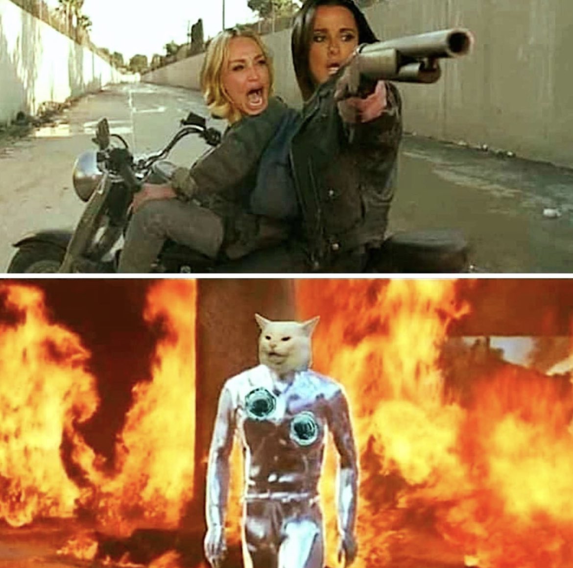 moveforward20's tweet image. #Terminator