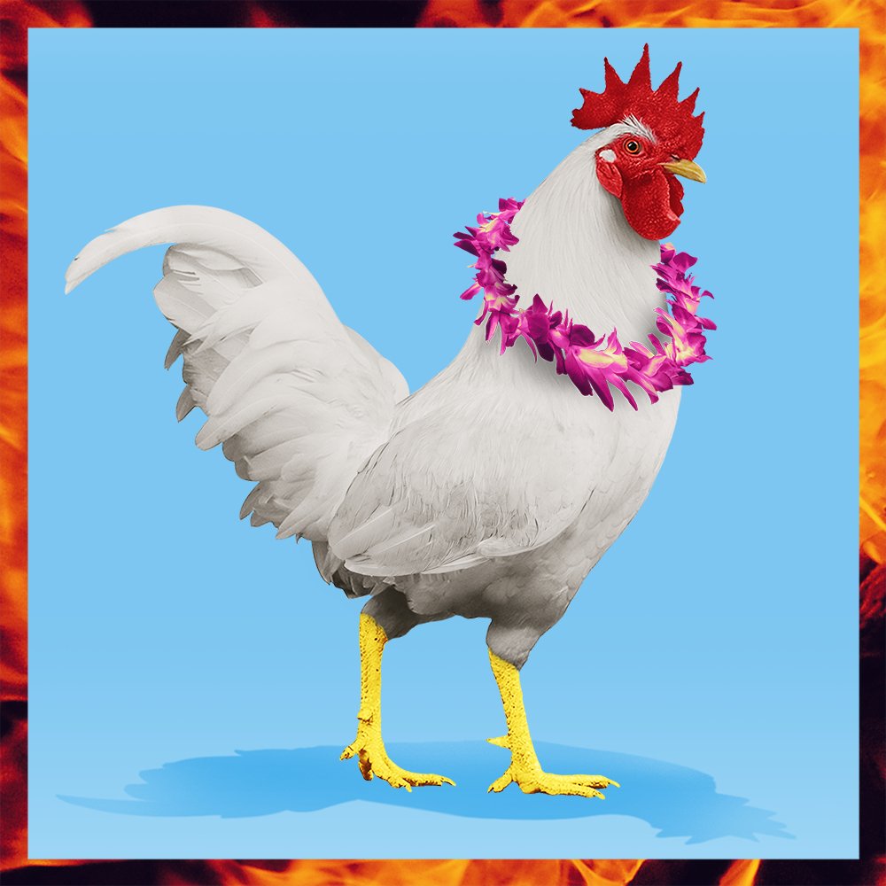 RoostrNFT's tweet photo. 🥚 Roostr No.10140 - nice - 4kg - Sold for 9.50 AVAX 🐔
Community Chat: https://t.co/qAyV4Fut3m
Marketplace Listing: https://t.co/gNnIFKrmI3
Transaction: https://t.co/6SEIpcOQ59 https://t.co/sfysQ3jsbQ