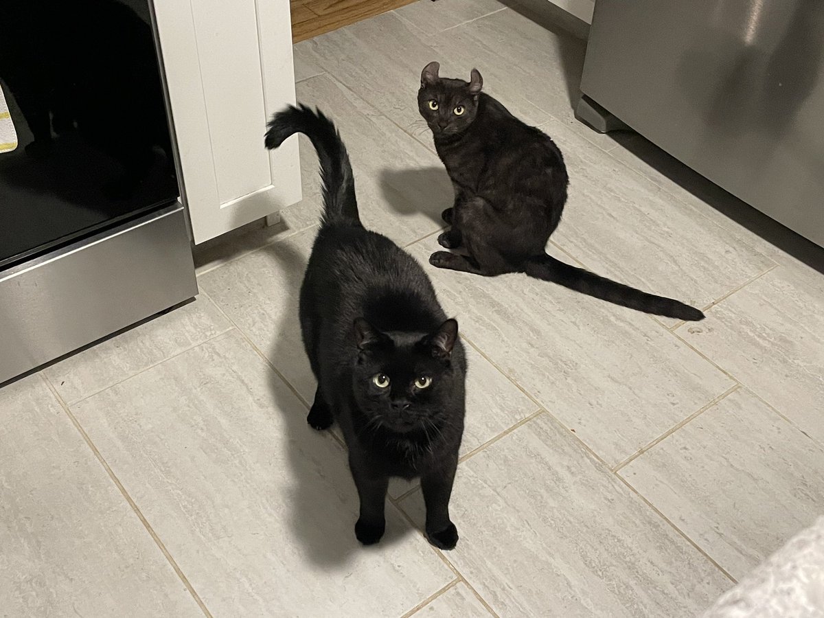 half the world knows them as boobies and balls now