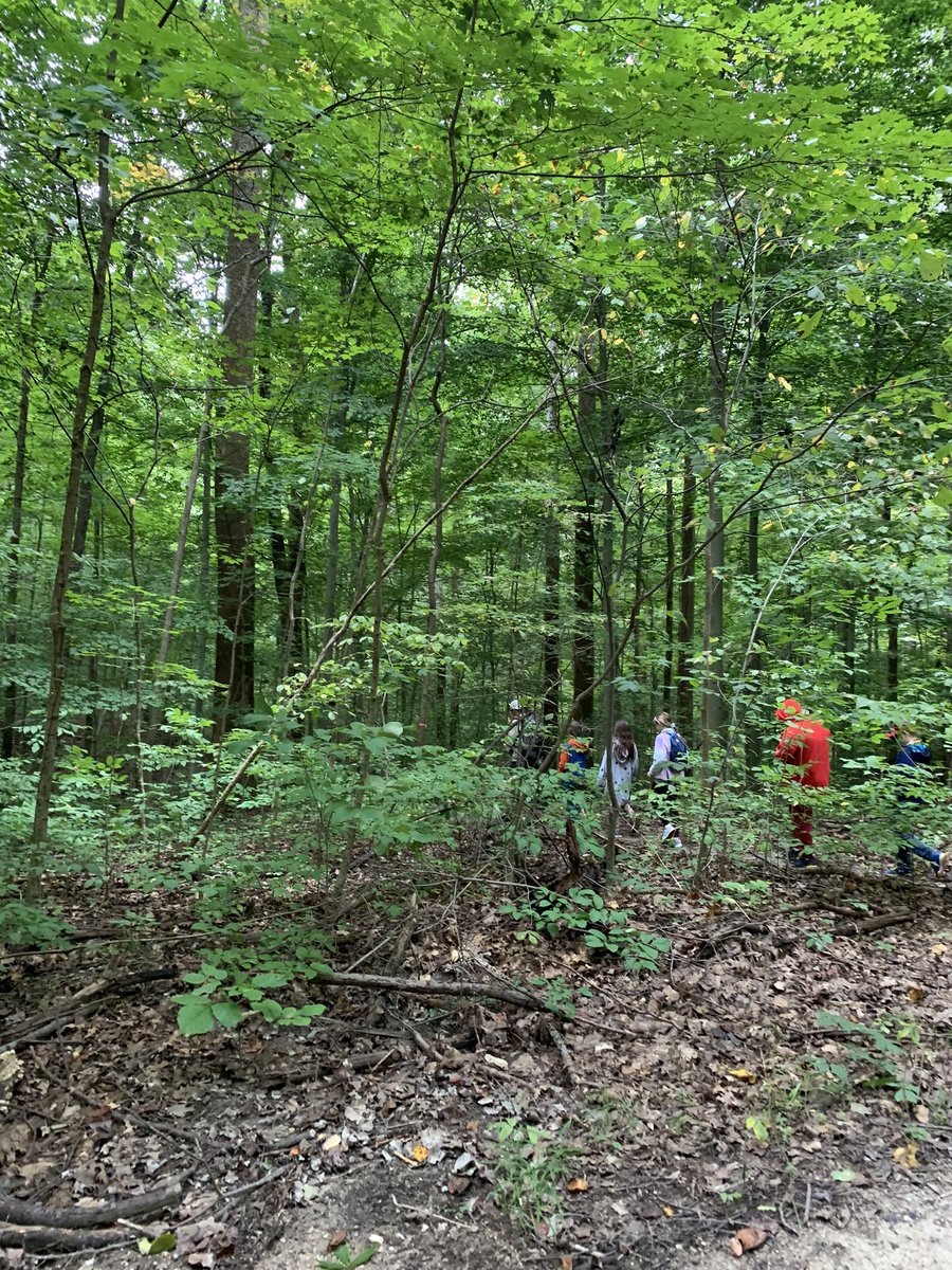 Ms. Martin tweet media