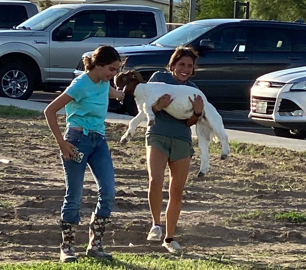 ag_rowe's tweet photo. What a great way to spend TeachAG day training our show team!! Great job today!!! #agrocks #TeachAG #Herebytheowl 🦉@McAllenISDCTE https://t.co/GlCbhzdRQp