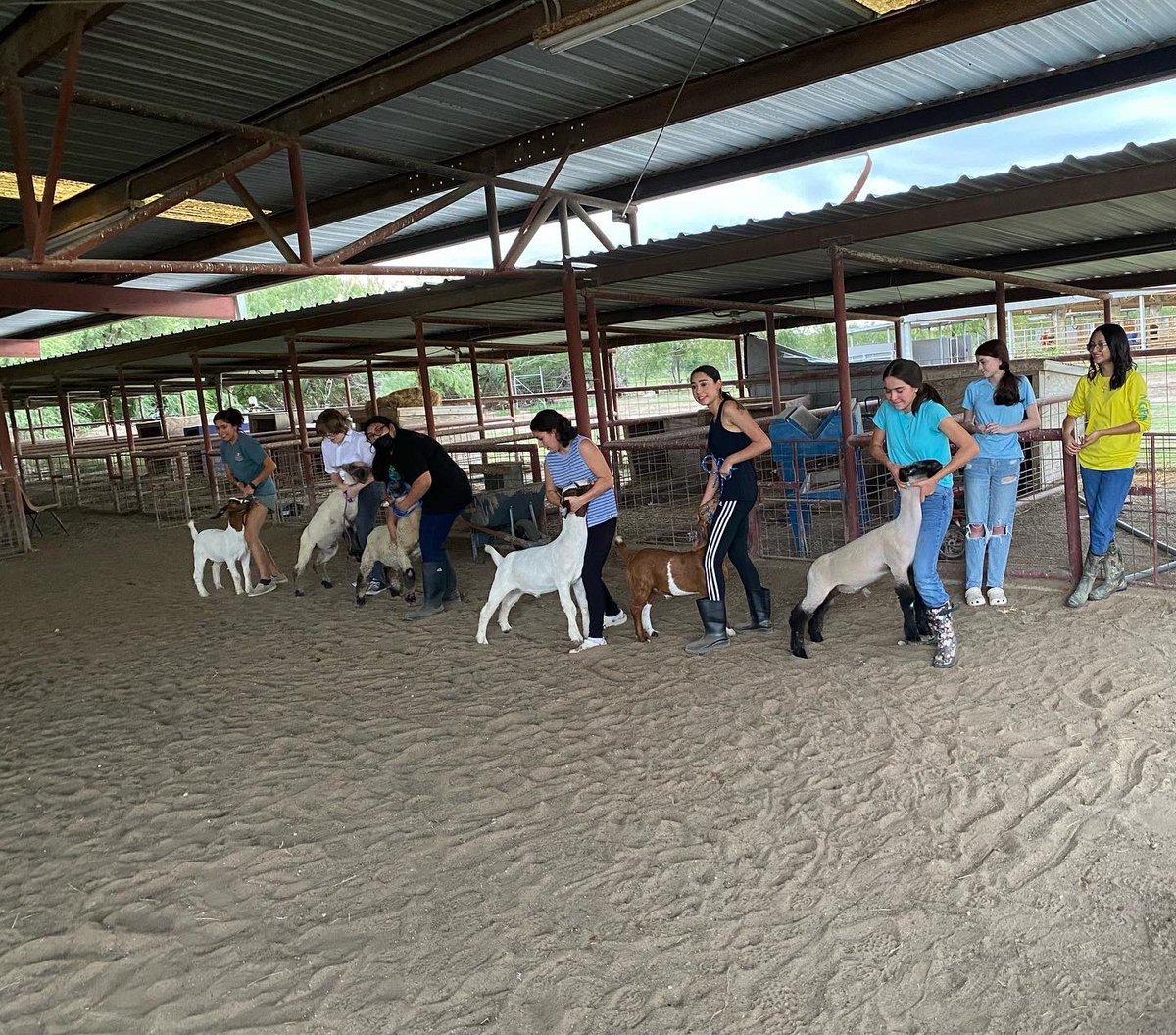 ag_rowe's tweet photo. What a great way to spend TeachAG day training our show team!! Great job today!!! #agrocks #TeachAG #Herebytheowl 🦉@McAllenISDCTE https://t.co/GlCbhzdRQp