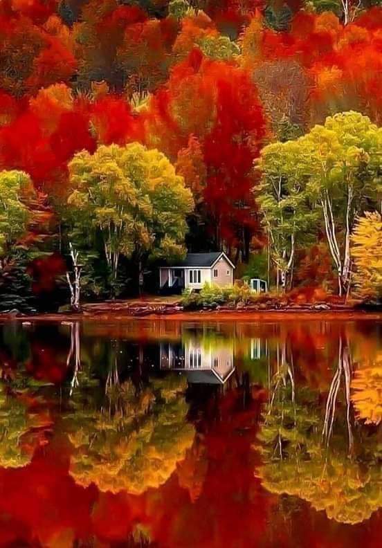 🍁Good morning, dear friends!🍁