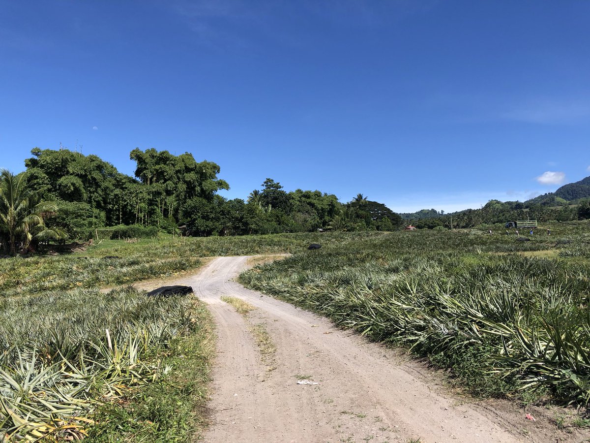 paghigugma's tweet photo. 2.4-Hectare Agri Land for Sale

📍 Brgy. Kiniles, Polomolok, S.C.
#Tripping #PropertyViewing https://t.co/g1mZJyFkuy