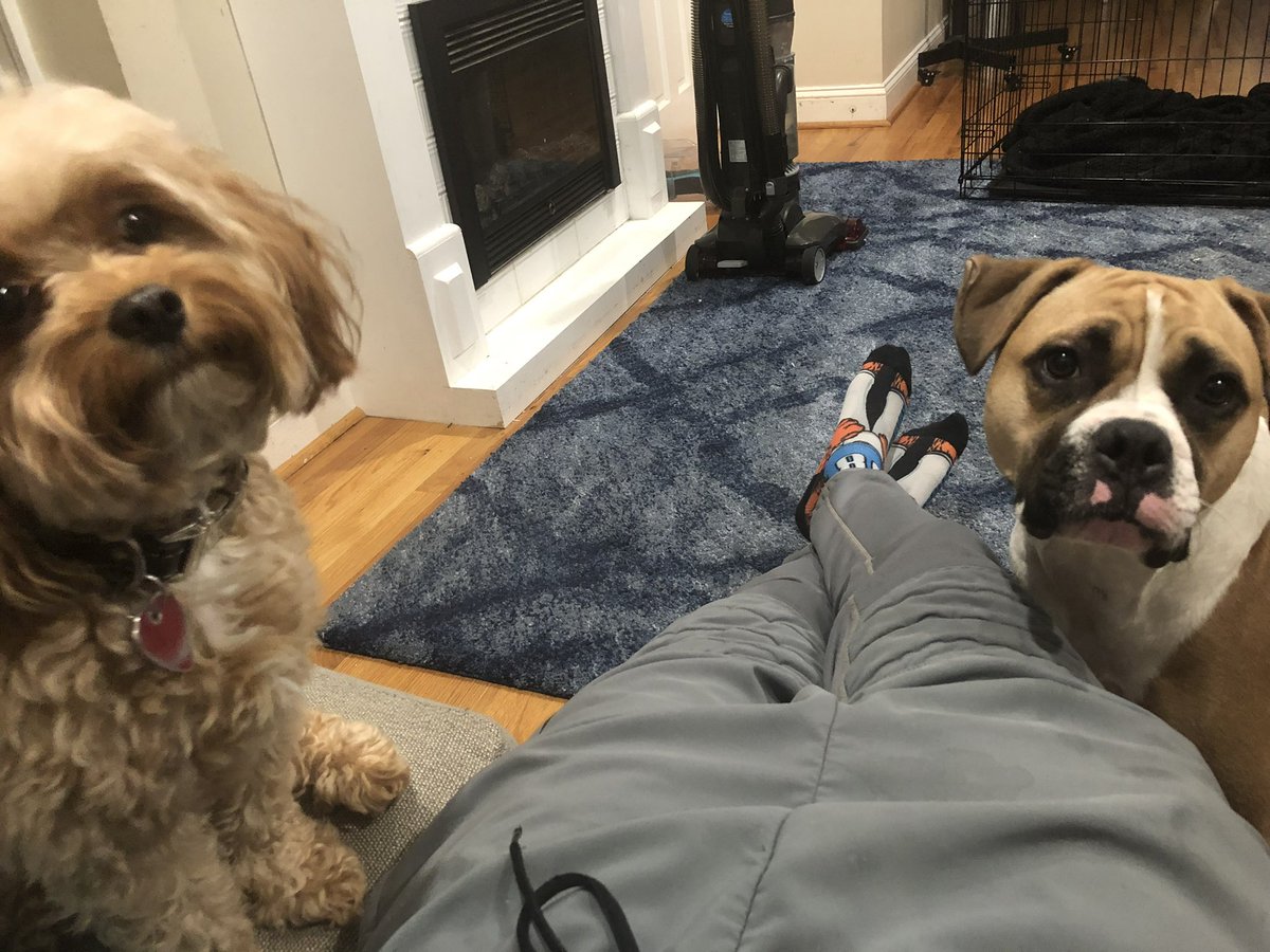 WorldRecordBall's tweet photo. All I said was, “walk?” https://t.co/mYp6lmxJr6