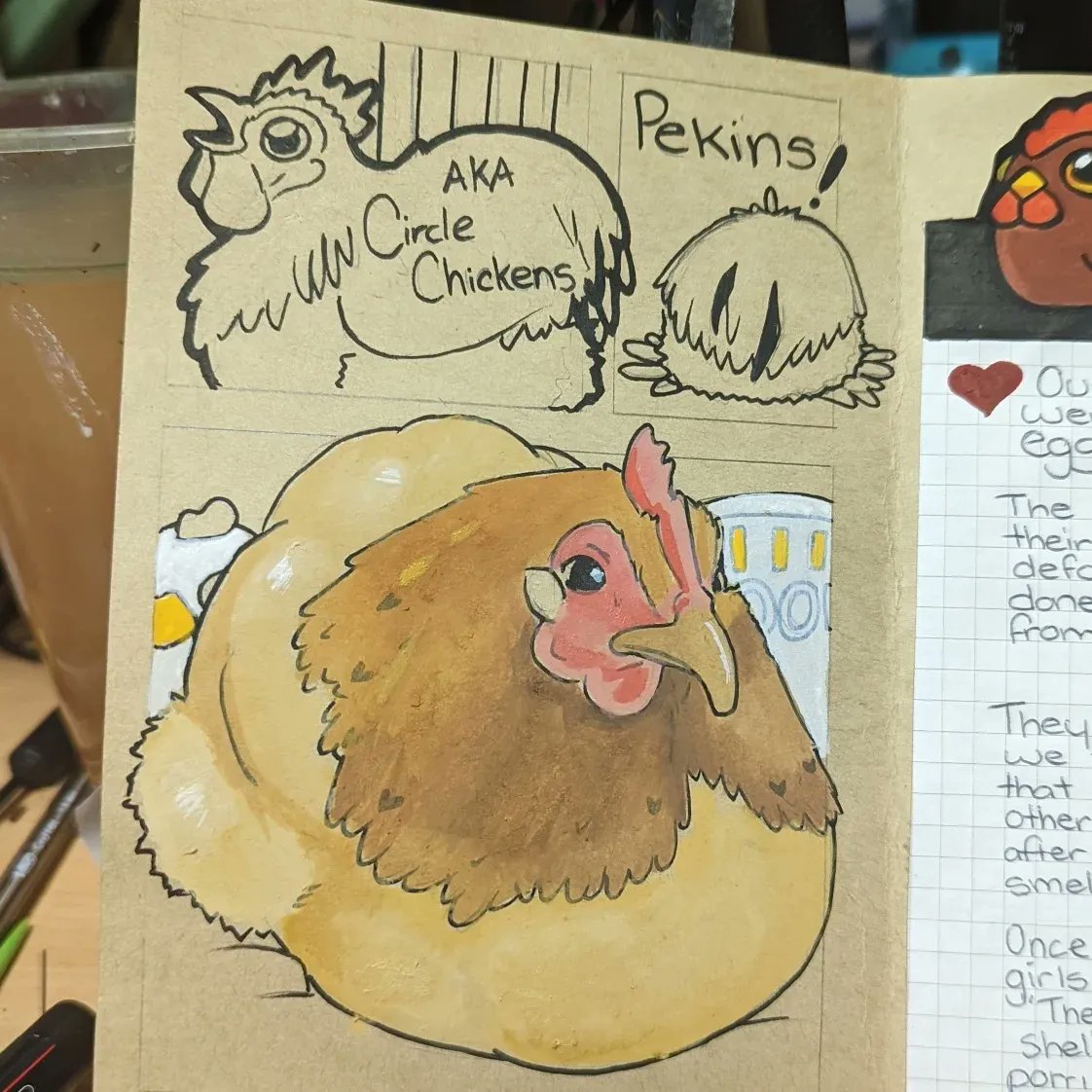 Idrawthethings's tweet photo. A work in progress, Chicken zine. #petportrait #chickens #artistsontwitter #art #himi #posca https://t.co/2YuEqdfAGi