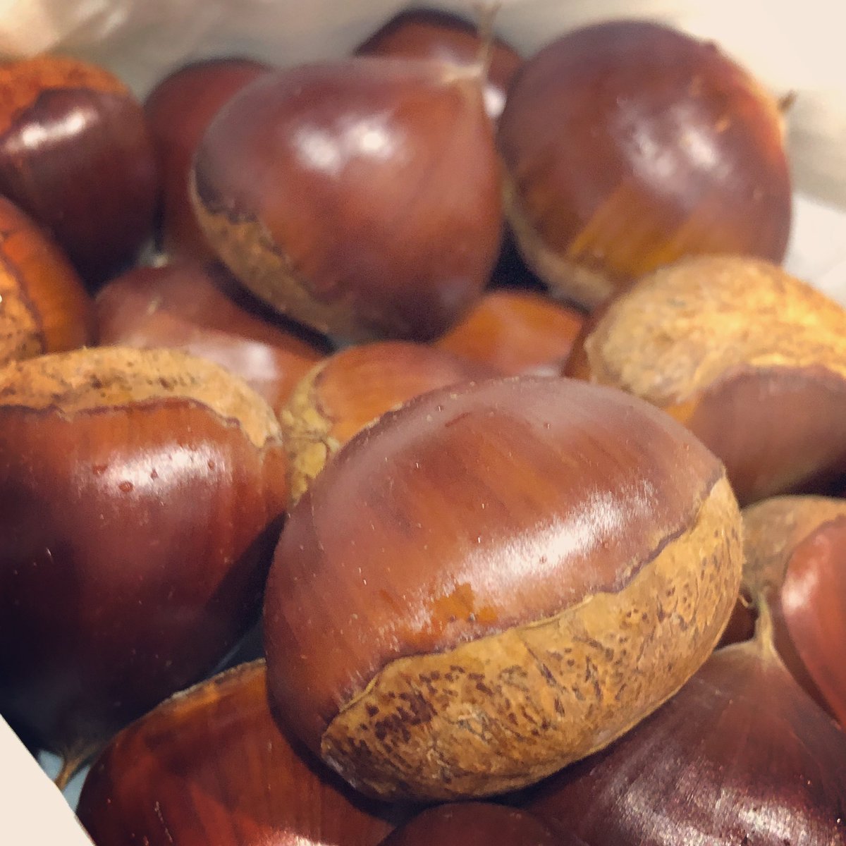 お客さんから大粒の栗🌰
いただきました🙇‍♂️✨✨

何か作りたいなー😀

結局、モンブランにしたら
うまいし、嬉しいよね…？？😁

#くり 
#栗 
#モンブラン
#何作ろうかな
#どうする
#栗ご飯
#出張料理