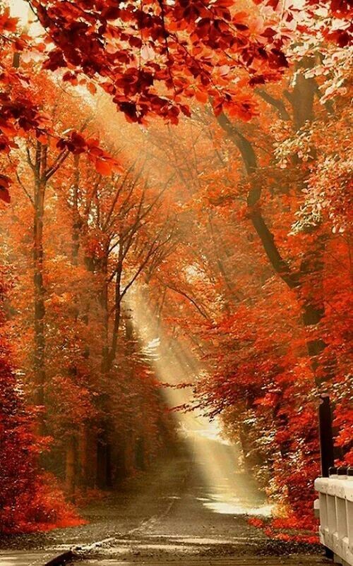 ☀️🍁Friday morning !🍁☀️