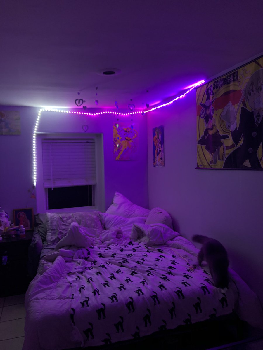 bumny333's tweet photo. janky lights https://t.co/53lZgqKkpL