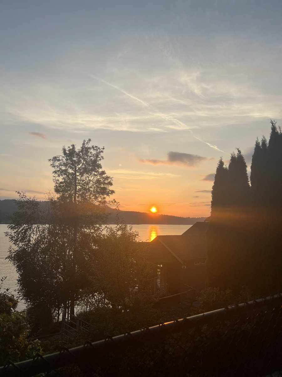SabaSedighi's tweet photo. can confirm my hot girl sunset walk was worth it ✨ https://t.co/3QBuYRltGK