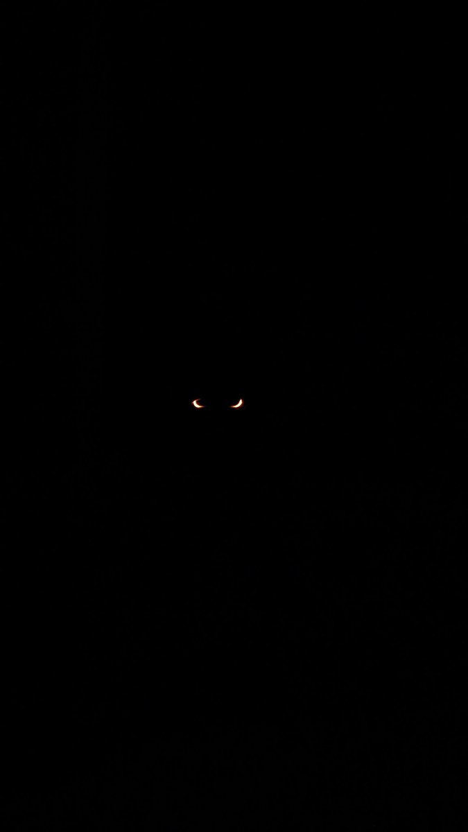 Note to self, don't forget that you have your ps5 in rest mode and that the glowing eyes that you see in the corner is your controller charging!!! 
<a href="/PlayStation/">PlayStation</a> 
#shatit
#jumpscare
