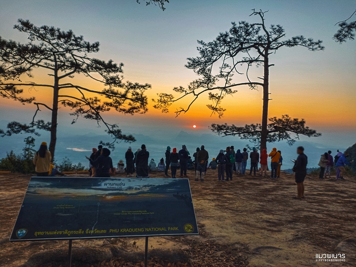 ชมพระอาทิตย์ขึ้นที่ "ผานกแอ่น" #ภูกระดึง สวยจนต้องตะลึง!! "ภูกระดึง เปิดให้พักค้างแรม ตั้งแต่ 1 ตุลาคม -31 พฤษภาคม 2566 
อ่านรีวิว th.readme.me/p/41992 
โดย แมวพเนจร  รับส่วนลด 15%  เมื่อจองกิจกรรมในไทยและต่างประเทศกับ Klook  คลิก > bit.ly/3cU62BI 
#เที่ยวธรรมชาติ