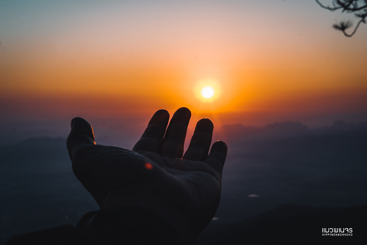 readme.me Thai tweet media