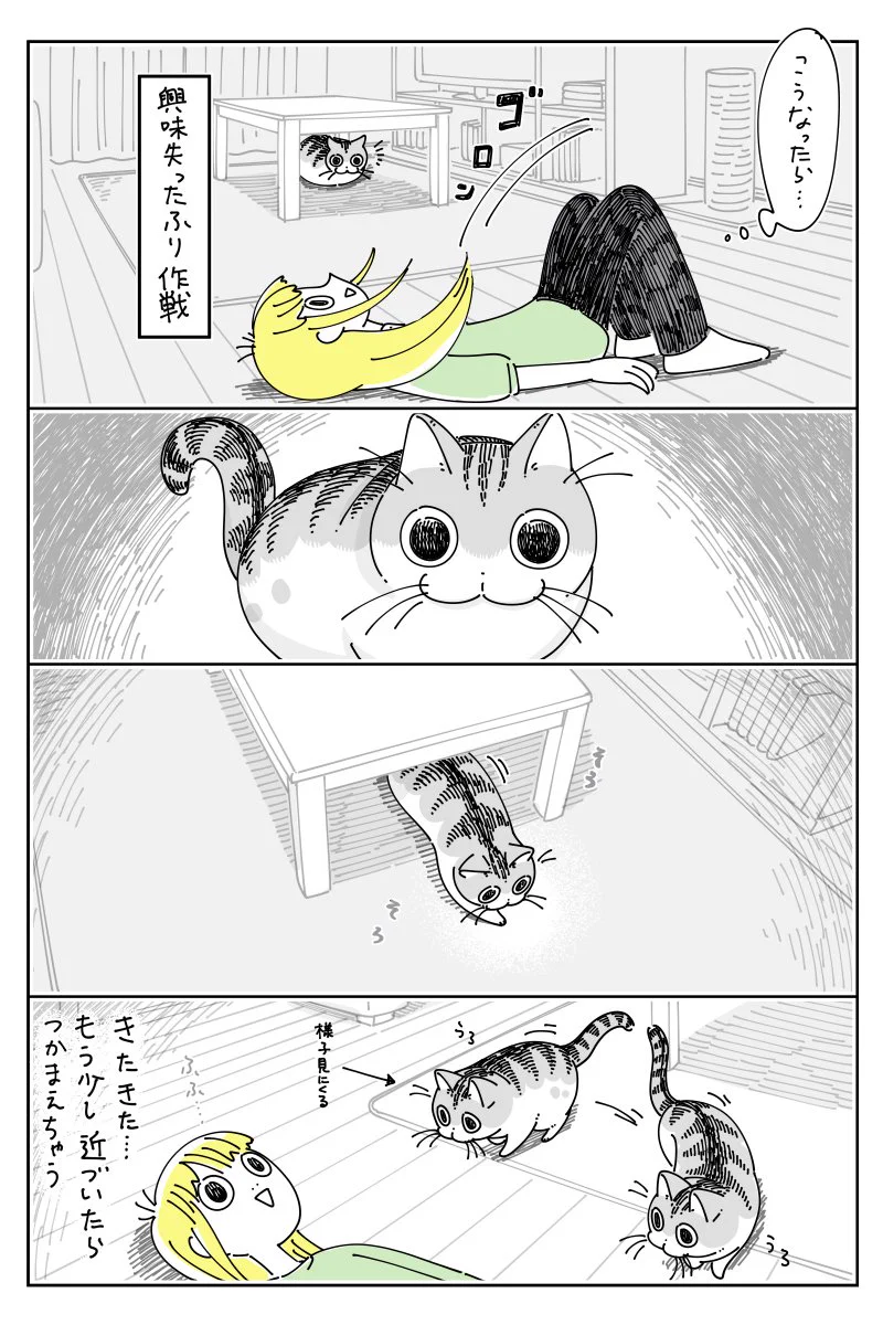 爪を切るために捕まえようとするも･･･！障害物を巧みに利用して捕まえられない猫のお話を描いた猫漫画！