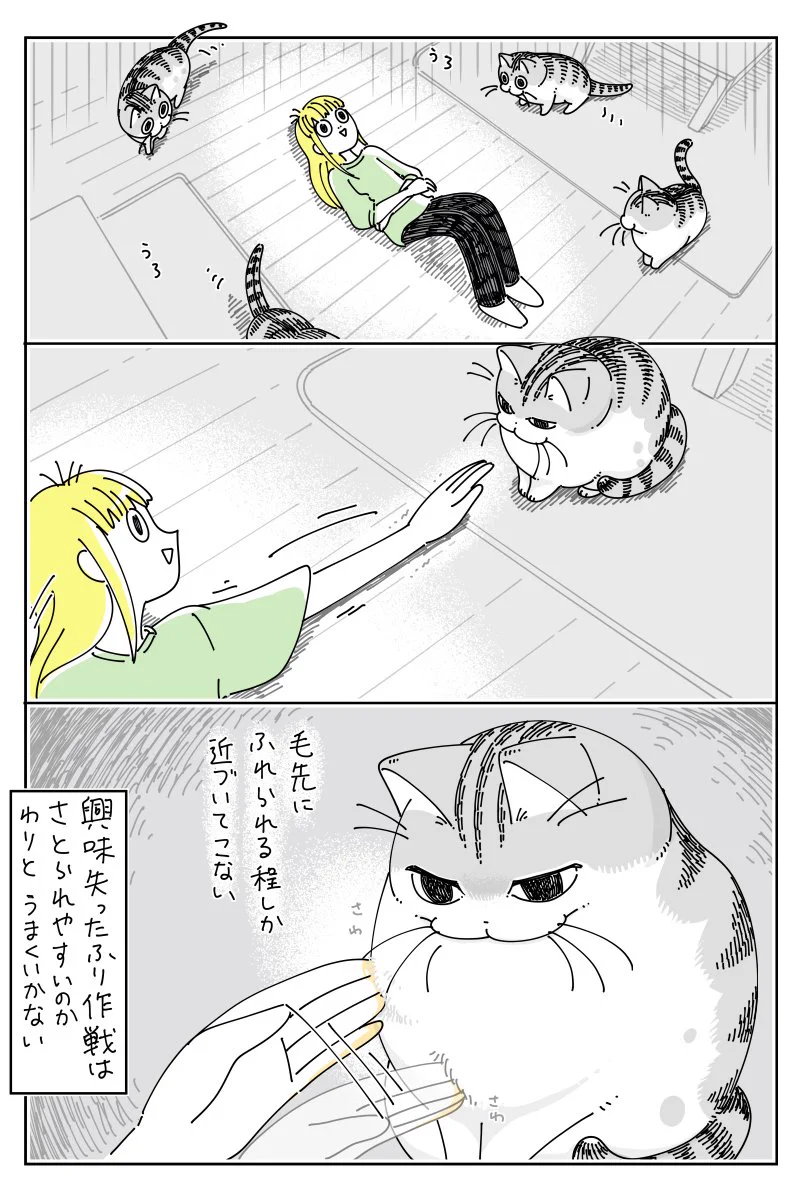爪を切るために捕まえようとするも･･･！障害物を巧みに利用して捕まえられない猫のお話を描いた猫漫画！
