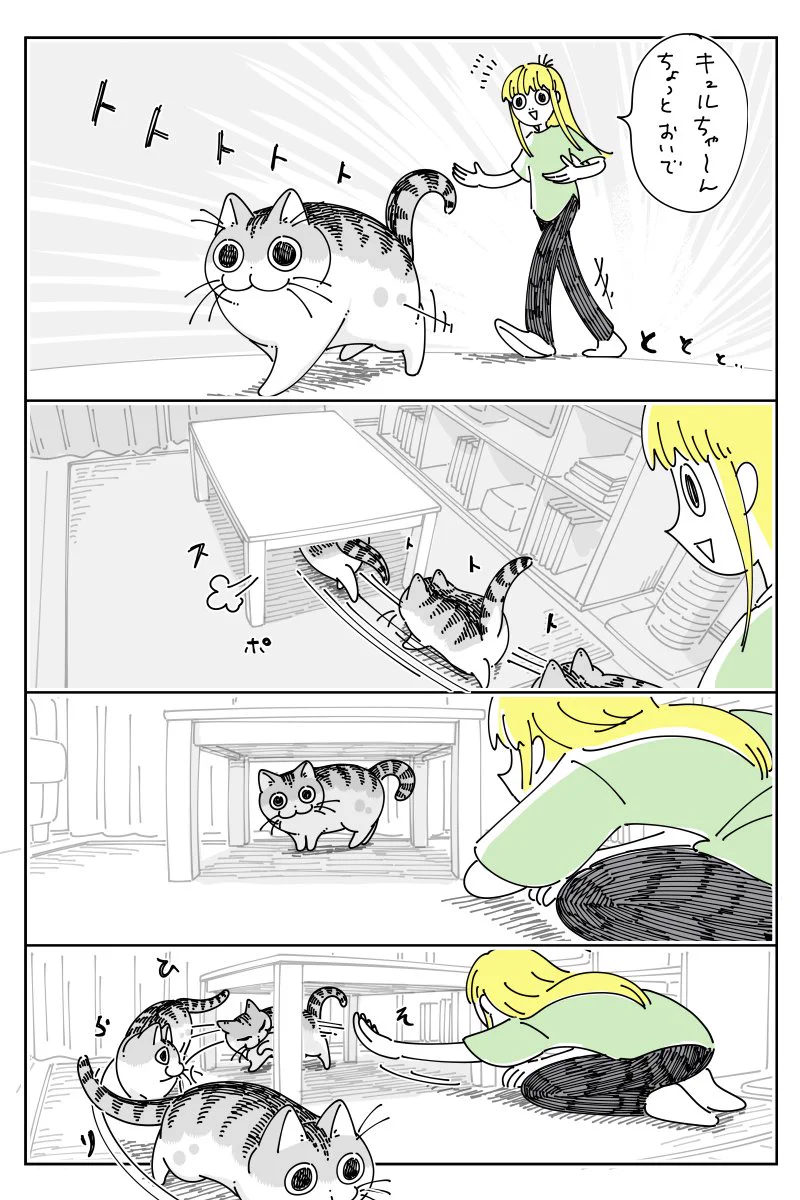爪を切るために捕まえようとするも･･･！障害物を巧みに利用して捕まえられない猫のお話を描いた猫漫画！