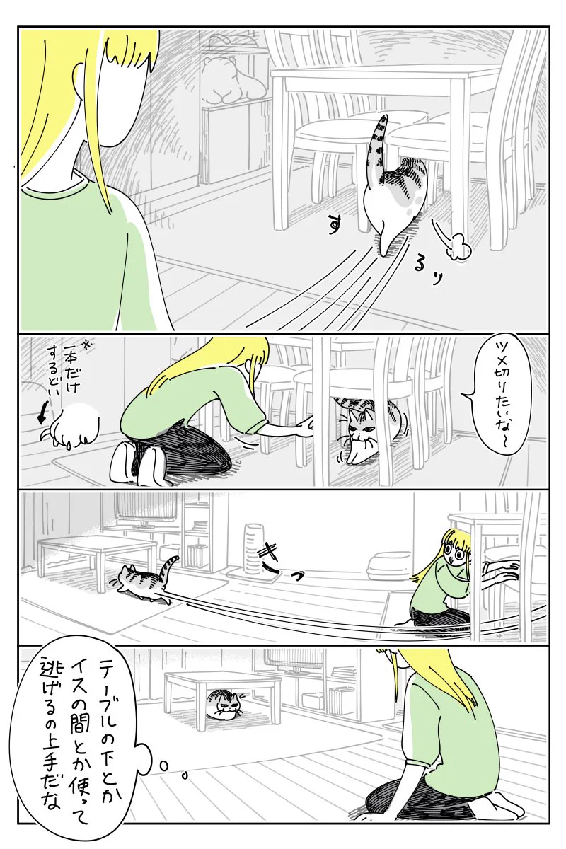 爪を切るために捕まえようとするも･･･！障害物を巧みに利用して捕まえられない猫のお話を描いた猫漫画！