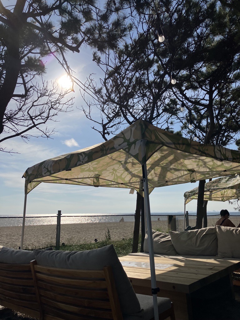 sbp_inage's tweet photo. 【BEACH HOUSE】

🪑🛋️🏝️⛵️ビーチハウス営業中🥪🥂🍟🍵

やさしい松の木の木漏れ陽と潮風を感じながら、
お食事やカフェ利用ができます。

今日はサンセットもきれいに見えるはず🌅🙆‍♀️

#sunsetbeachparkinage
#サンセット
#稲毛海浜公園 https://t.co/MeMuLYnhIb